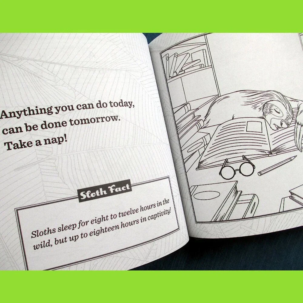 Book: Life Lessons from a Sloth, by Heneghan, Mills, & Sturgeon - Picture 6 of 13